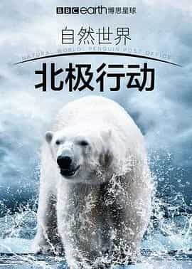 北极行动 Operation Arctic