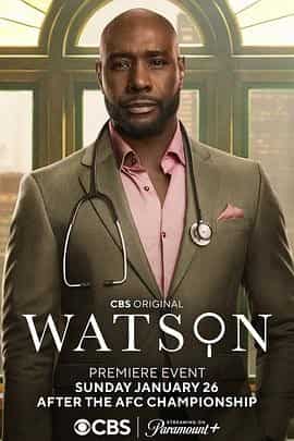 华生 第一季 Watson Season 1