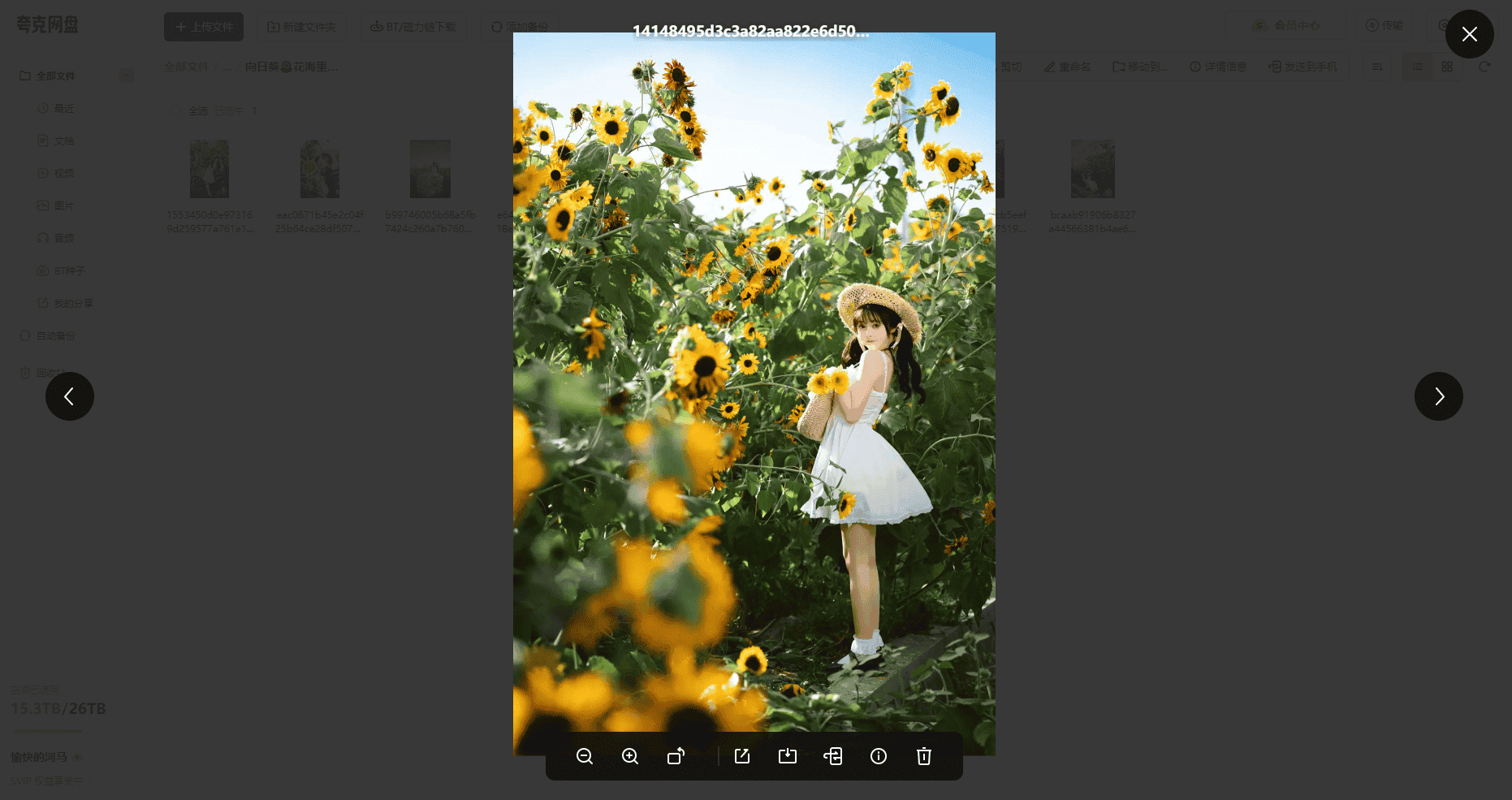 🔥【内部资源】🔥B站知名UP兰幼金漫展4K签售图片大合集1 1.3GB