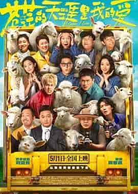 苍茫的天涯是我的爱