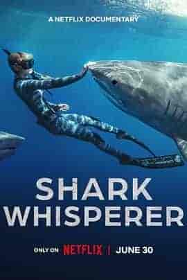 鲨语者 Shark Whisperer