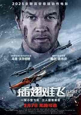 插翅难飞 Flight Risk