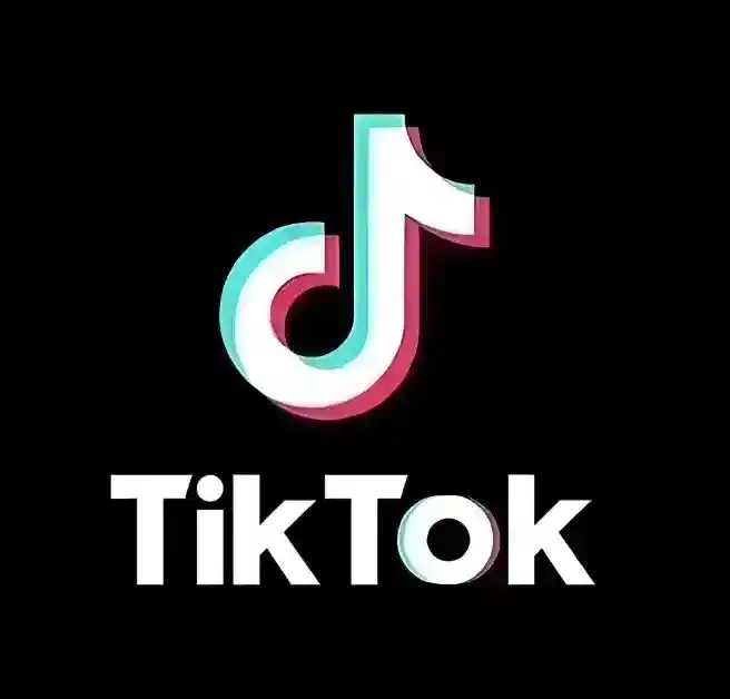【软件】《TikTok抖音国际版》安卓应用 (v40.6.2) 解锁限制版 去广告/免拔卡/免插件