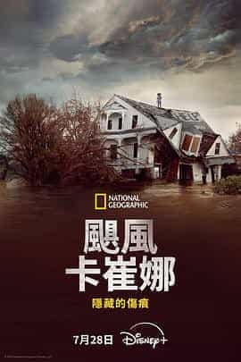 飓风卡特里娜：隐藏的伤痕 Hurricane Katrina: Race Against Time