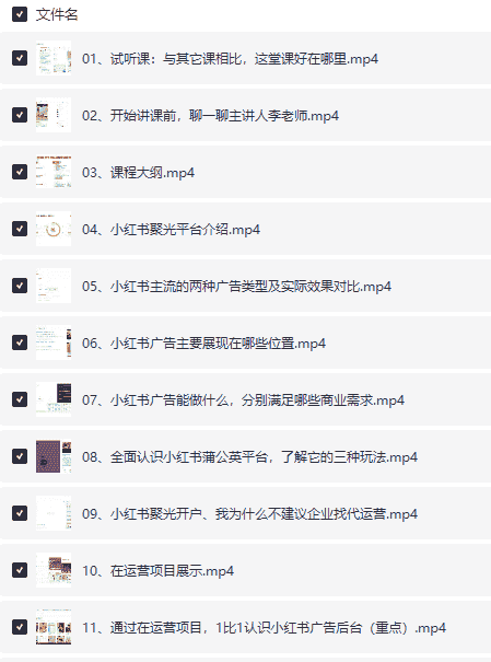 小红书聚光广告与乘风投放实战课，数据优化+抖音本地推全流程攻略【800M】