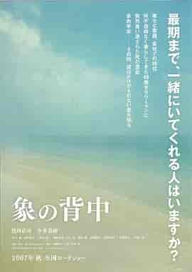 象的背影 象の背中