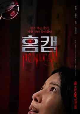 家用摄像头 홈캠